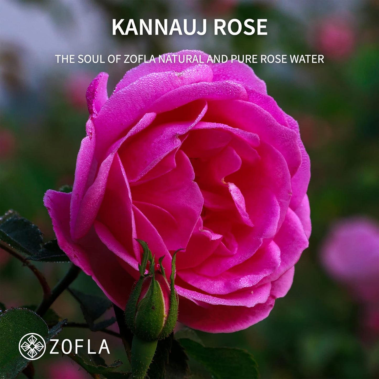 Zofla Natural and Pure Rose Water / Gulab Jal