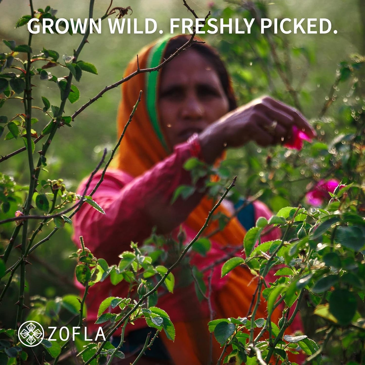 Zofla Natural and Pure Rose Water / Gulab Jal